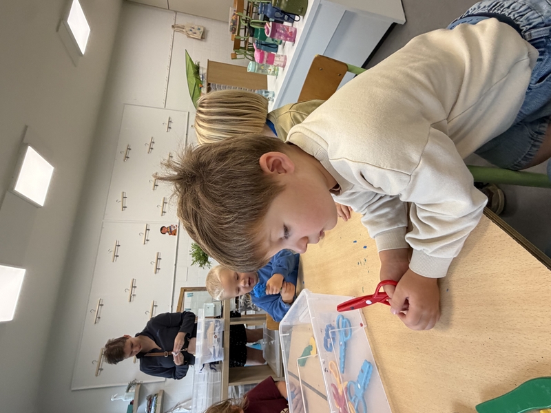 IMG_5830.jpeg