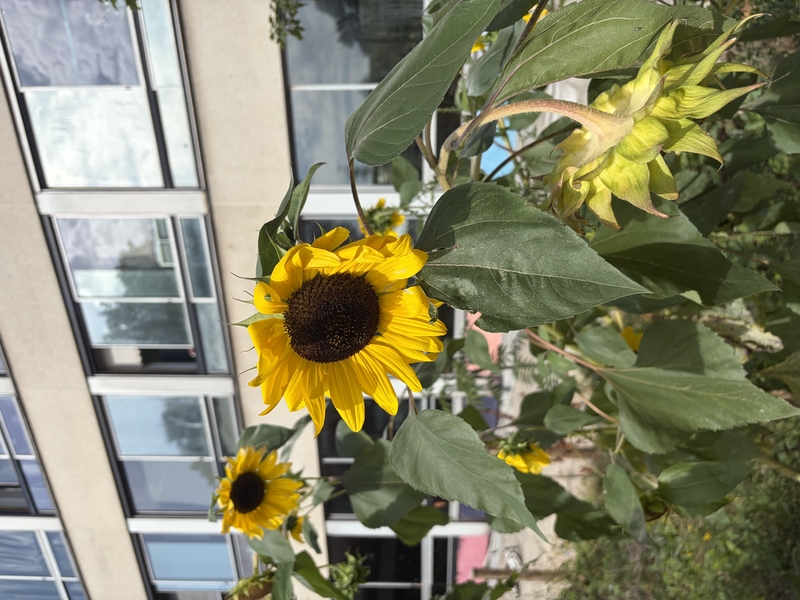 IMG_5981.jpeg