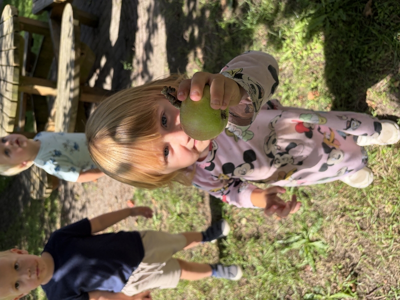 IMG_5988.jpeg