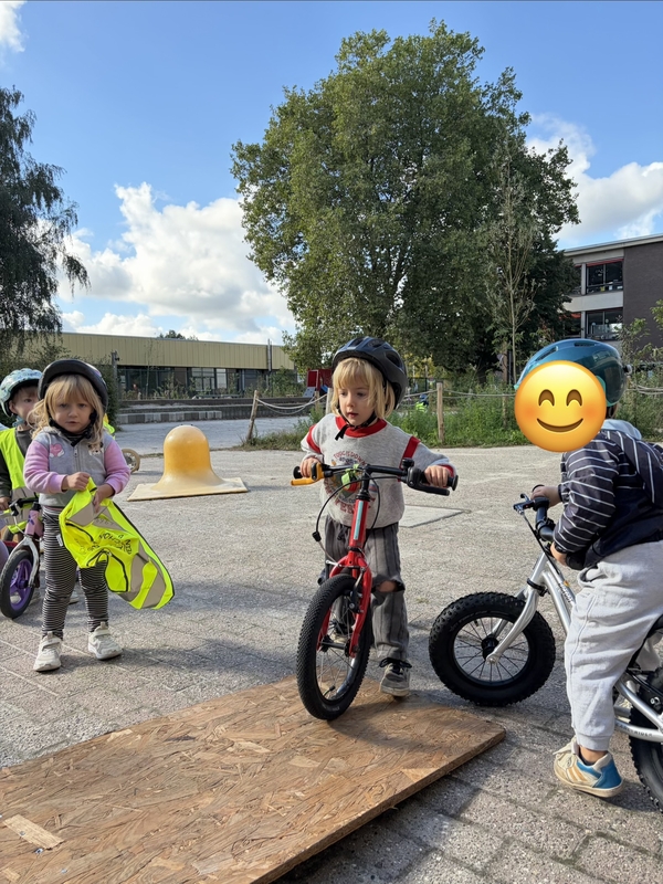 IMG_6393.jpeg