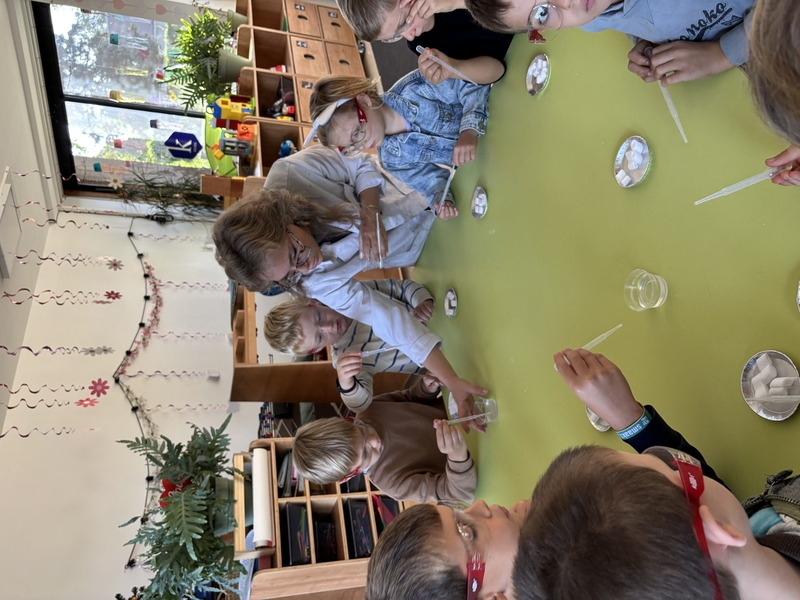 IMG_3386.jpeg